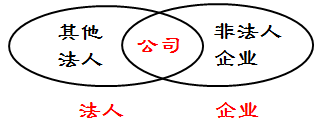 法人、企業(yè)、公司